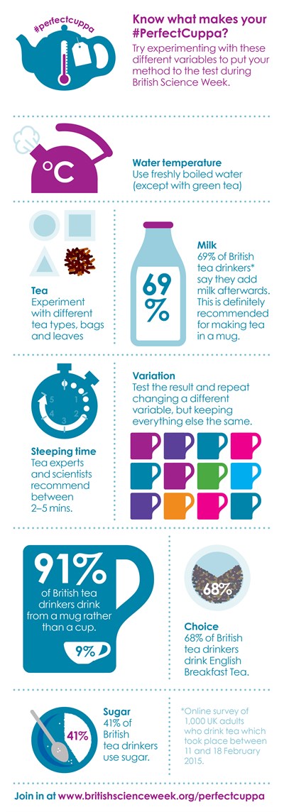 Scientists reveal how to make the perfect cup of tea - so do YOU agree with  their method?